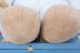 画像10: ct-260417-02 GREMLiNS / Quiron 1993 Gizmo Huge Plush Doll (10)