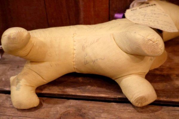 画像11: ct-260417-08 Collegiate Personality PET 1950's-1960's Message Puppy Doll