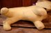 画像11: ct-260417-08 Collegiate Personality PET 1950's-1960's Message Puppy Doll (11)