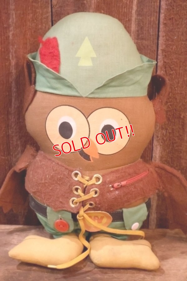 画像1: ct-260325-16 Woodsy Owl / Amway 1970's Teach 'N' Play Pre-School Toy