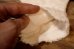 画像9: ct-260401-46 Teddy Snow Crop / 1950's Hand Puppet (9)