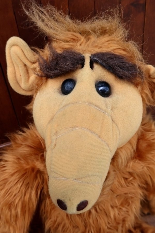 画像2: ct-260325-43 ALF / 1980's Talking 20" Plush Doll