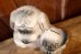 画像8: ct-260322-08 FORD / 1950's-1960's Shaggy Dog Ceramic Coin Bank (8)