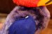 画像7: ct-260106-28 The University of Kansas "Jayhawks" / Collegiate 1950's-1960's Mascot Doll (7)