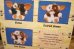 画像9: ct-260322-07 GREMLiNS / NECA 2004 DANCING GIZMO PLUSH DOLL (9)