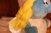 画像8: ct-220719-79 Smurfette / WALLACE BERRIE & CO.,INC. 1980's Plush Doll (8)