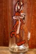画像3: gs-260601-03 Wile E. Coyote / PEPSI 1973 Collector Series Glass (3)