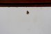 画像12: dp-260601-27 AUTOLITE 1960's STARTING SERVICE Wood Sign (12)