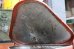 画像13: dp-260601-25 EAGLE / 1950's-1960's Waste Trash Can (13)