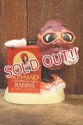 ct-260601-15 The California Raisins / 1980's Coin Bank