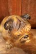 画像4: ct-260529-04 Mack Trucks / 1970's Bulldog Coin Bank  (4)