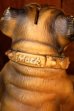 画像8: ct-260529-04 Mack Trucks / 1970's Bulldog Coin Bank  (8)