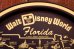 画像4: ct-260601-05 Walt Disney World / 1970's Serving Tin Tray (4)