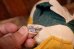 画像8: ct-250908-01 Collegiate 1950's-1960's College Mascot Doll "NTSU" Bird (8)