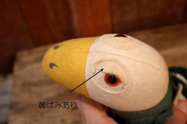 画像9: ct-250908-01 Collegiate 1950's-1960's College Mascot Doll "NTSU" Bird