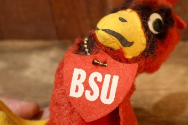 画像5: ct-250908-01 Collegiate 1950's-1960's College Mascot Doll "BSU" Bird