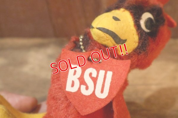 画像5: ct-250908-01 Collegiate 1950's-1960's College Mascot Doll "BSU" Bird