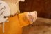 画像5: ct-250908-01 Collegiate 1950's-1960's College Mascot Doll "U of T" PATTY CAKE (5)