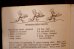 画像5: ct-260401-03 Reddy Kilowatt / 1940's-1950's Northern States Power Company Recipe Book (5)