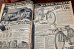 画像8: dp-260801-06 SEARS ROEBUCK and CO CATALOGUES OF 1930's (1978年製) (8)