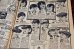 画像7: dp-260801-06 SEARS ROEBUCK and CO CATALOGUES OF 1930's (1978年製) (7)