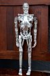 画像21: ct-260322-05 TERMINATOR 2 JUDGEMENT DAY / TOY ISLAND 1996 ENDOSKELTON ACTION FIGURE (21)