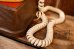 画像14: ct-260801-62 Mickey Mouse / 1970's Telephone (14)