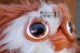 画像3: ct-260801-60 GRENLiNS / Hasbro 1980's Gizmo Plush Doll (3)