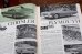 画像3: dp-260801-07 MOTOR TREND MAGAZINE OCTOBER 1963 (3)
