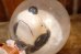 画像8: ct-260601-02  Snoopy / 1969 Astronauts Snoopy Doll (8)