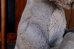 画像7: ct-260801-50 Jungle Book / Baloo 1970's Plush Doll (7)