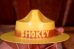 画像10: ct-260601-09 SMOKEY BEAR / IDEAL 1960'S Plush Doll (10)