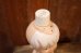 画像7: ct-260801-25 Bamm Bamm Rubble / PUREX 1960's Fun Bath Bottle (7)