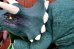 画像6: ct-260801-77 The Lost World: Jurassic Park / HASBRO (Kenner) 1990's Triceratops ACTION PLUSH (6)