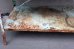画像8: dp-260901-02 【※店頭ピックのみ】GOODYEAR TIRE & BATTERY SERVICE 1950's-1960's METAL SHELF RACK (8)