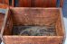 画像13: dp-260801-21 Hires ROOT BEER / 1950's-1960's Wood Crate Box (13)
