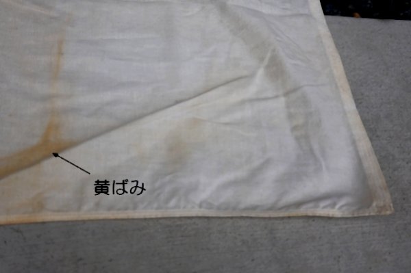 画像11: dp-250320-20 AMERICAN REVOLUTION BICENTENNIAL 1776-1976 FLAG