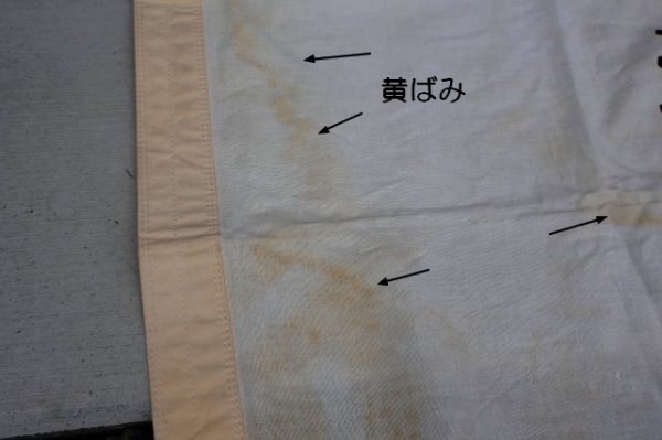 画像4: dp-250320-20 AMERICAN REVOLUTION BICENTENNIAL 1776-1976 FLAG