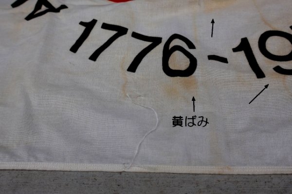 画像9: dp-250320-20 AMERICAN REVOLUTION BICENTENNIAL 1776-1976 FLAG