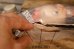 画像5: ct-260801-83 Porky Pig / DAKIN 1969 Figure (5)