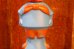 画像4: ct-260801-14【ダメージ品】Speedy Gonzales / COLGATE-PALMOLIVE 1960's Soaky Bottle (4)