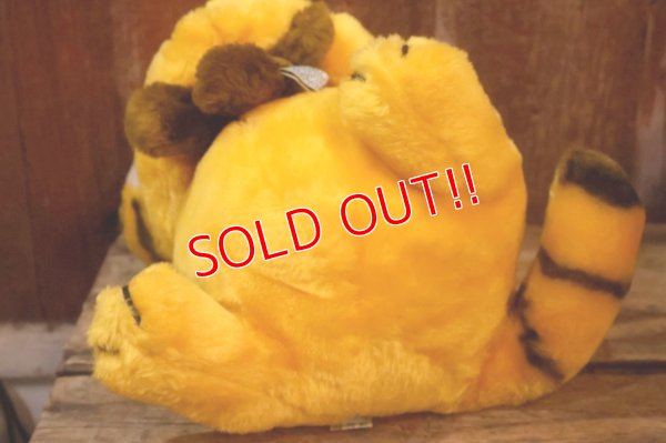 画像9: ct-261014-27 Garfield & Pooky / DAKIN 1980's Plush Doll