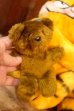 画像7: ct-261014-27 Garfield & Pooky / DAKIN 1980's Plush Doll (7)