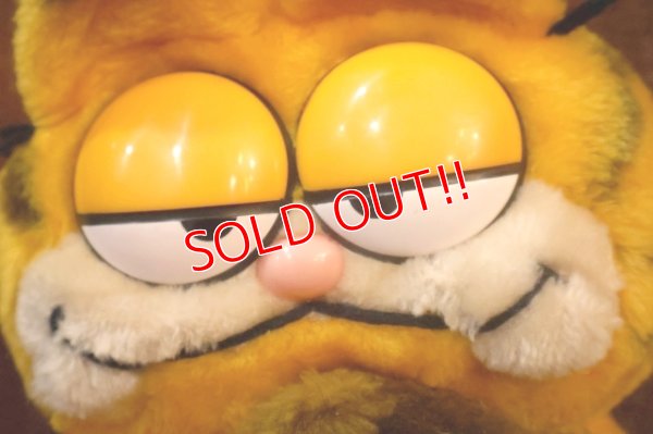画像2: ct-261014-27 Garfield & Pooky / DAKIN 1980's Plush Doll