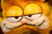 画像2: ct-261014-27 Garfield & Pooky / DAKIN 1980's Plush Doll (2)