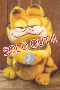 ct-261014-27 Garfield & Pooky / DAKIN 1980's Plush Doll