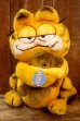 画像1: ct-261014-27 Garfield & Pooky / DAKIN 1980's Plush Doll (1)