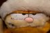画像10: ct-261014-23 Garfield / DAKIN 1980's Plush Doll "Happy Holidays Drum" (10)