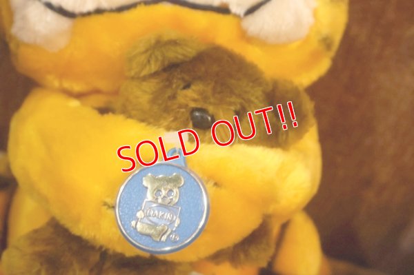 画像3: ct-261014-27 Garfield & Pooky / DAKIN 1980's Plush Doll