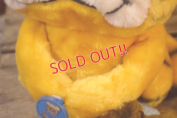 画像8: ct-261014-27 Garfield & Pooky / DAKIN 1980's Plush Doll